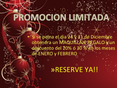 Oferta Navidad